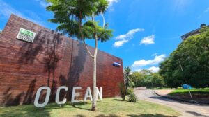 Cursos gratuitos do Samsung Ocean abordam temas como Programação, Inteligência Artificial e Digital Health Cursos gratuitos do Samsung Ocean abordam temas como Programação, Inteligência Artificial e Digital Health